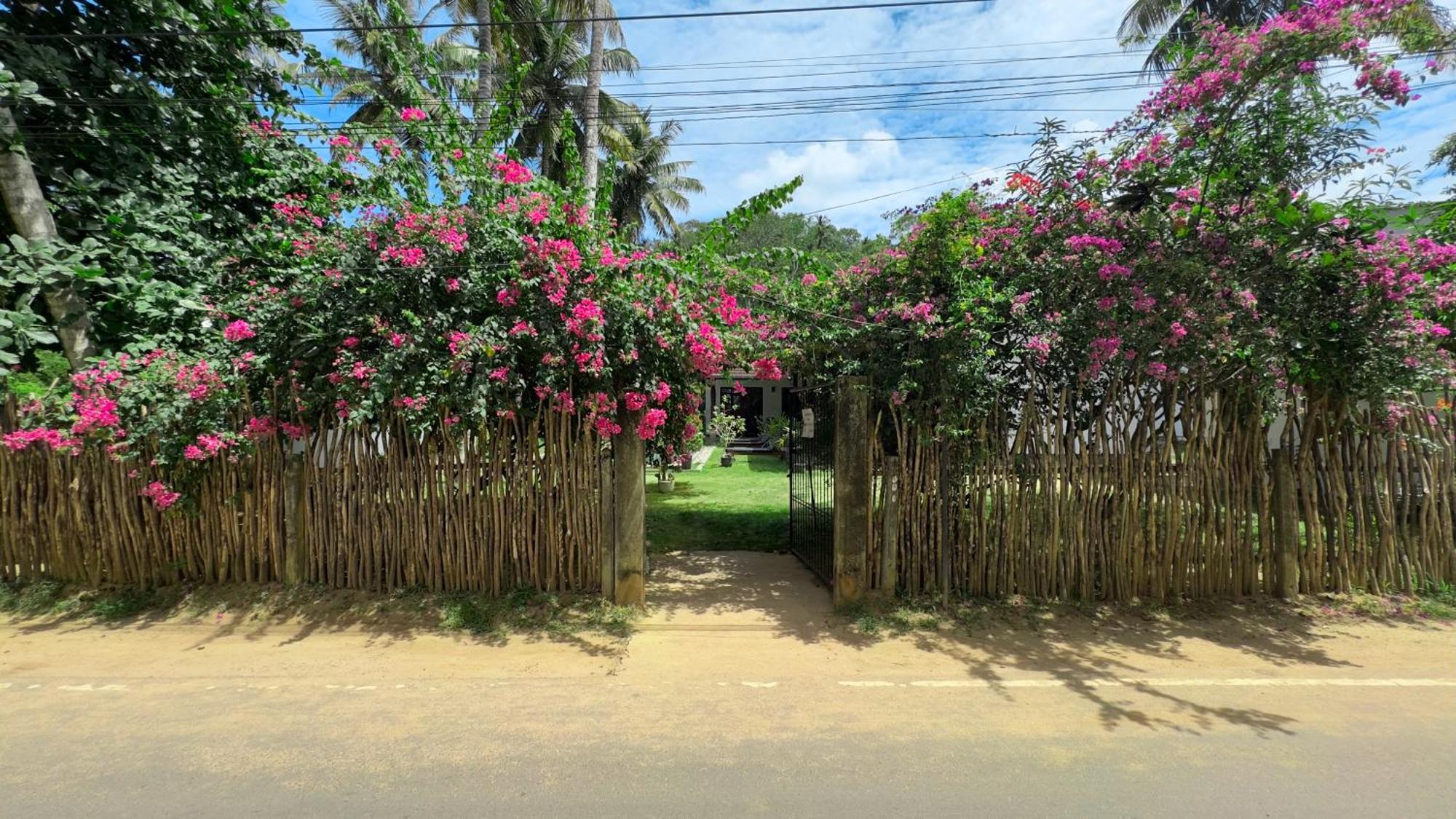Villa Hiriketiya ディックウェラ エクステリア 写真